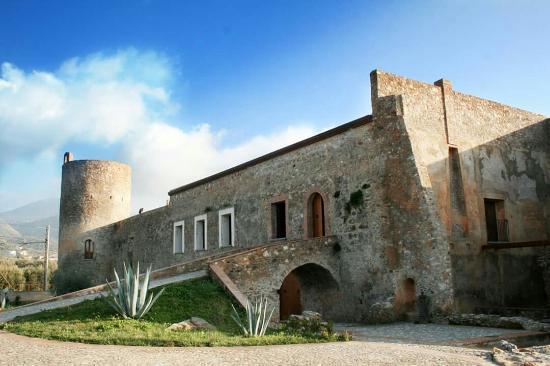 Museo del Cedro