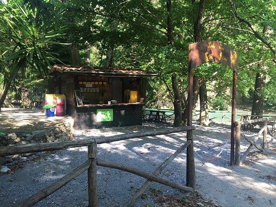 Lido Lao Gold River