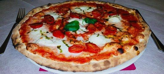 Il Cacciatore