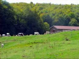 Monte Gariglione