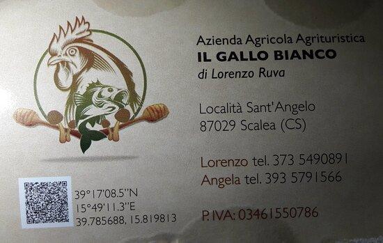 Gallo Bianco