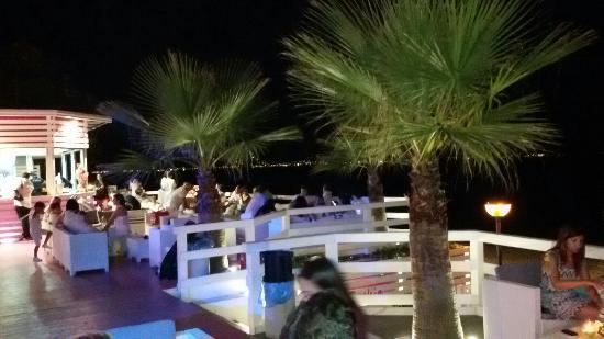 Sophia Club