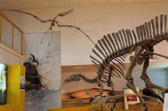 Museo di Paleontologia