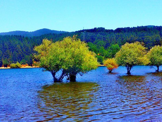 Lago Cecita