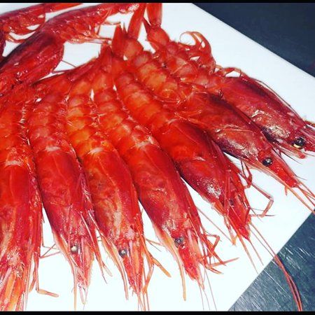Ristorante Hippocampus